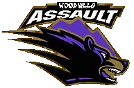 Assault 2004 - 2006